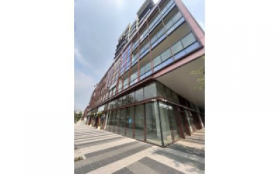 KHỞI CÔNG DỰ ÁN SALAD – MÓN QUÀ MỚI LẠ CHO SÀI GÒN!