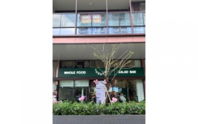 Diệp Gia Đồng Hành Tossful – Hoàn Thành Bàn Không Gian Lifestyle Cao Cấp Tại Hcmc