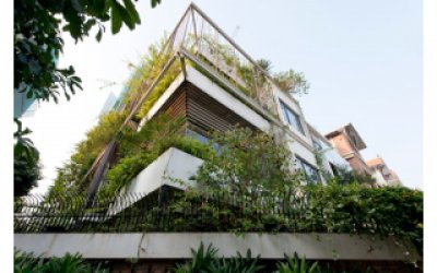 Báo Mỹ ca ngợi ngôi nhà phủ kín cây xanh giữa Hà Nội