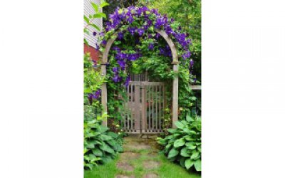 Gợi ý hay cho cổng vườn nhà thêm quyến rũ